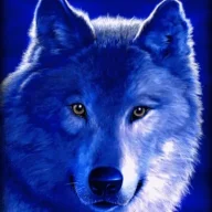 Gökbörü - 𐱅𐰼𐰇𐰰