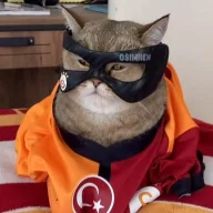 furkanhamilton