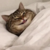 Bongabong