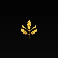sloxyisbabobro