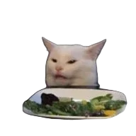 asimsamett