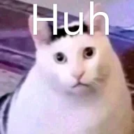 Xtremecaty