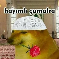mavibcrq
