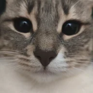 ELPATRON