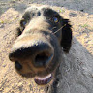 DOGUKANc35