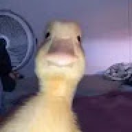 Schmitzz