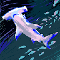 musa01