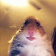 yusfte