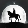 aoktay.zkn