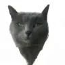 Xantarapo