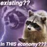 SadRacoon