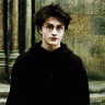 Mr.Potter