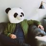 Coolpanda