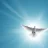 Whitebird_Sulo
