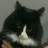 glie