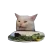asimsamett
