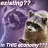 SadRacoon