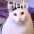 Xtremecaty