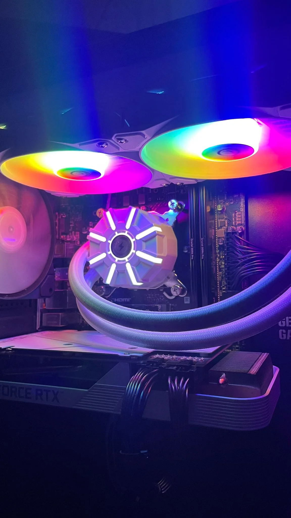 WhatsApp Image 2026-01-10 at 19.47.14.webp